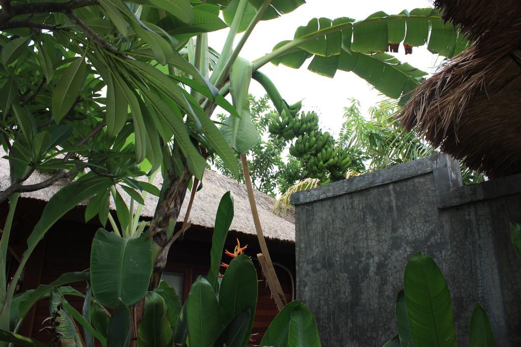Hotel Guava Garden Gili Trawangan Zewnętrze zdjęcie